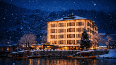hotels in Srinagar